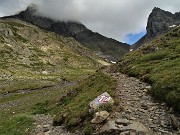 41 Il sent. 225 prosegue per il Passo di Valsecca e il Rif. Brunone, io mi fermo al pianoro